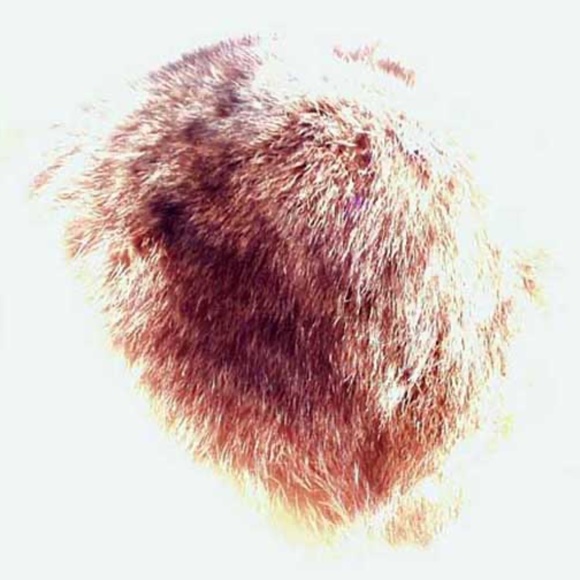 RACCOON FUR HAT, WORN TWICE, NATURAL COLOUR, LADIES MEDIUM, NO BRIM, THERMAL - Picture 3 of 3